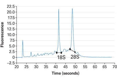 Human total RNA: blood, immune, & cardiovascular systems
